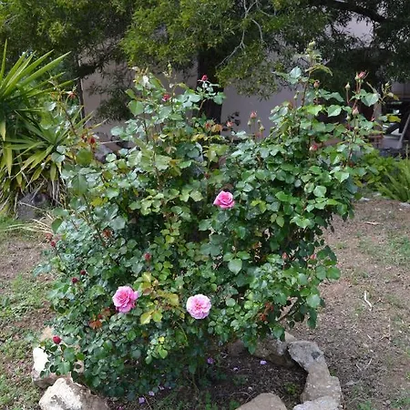 La Casa Di Tonina Portoferraio